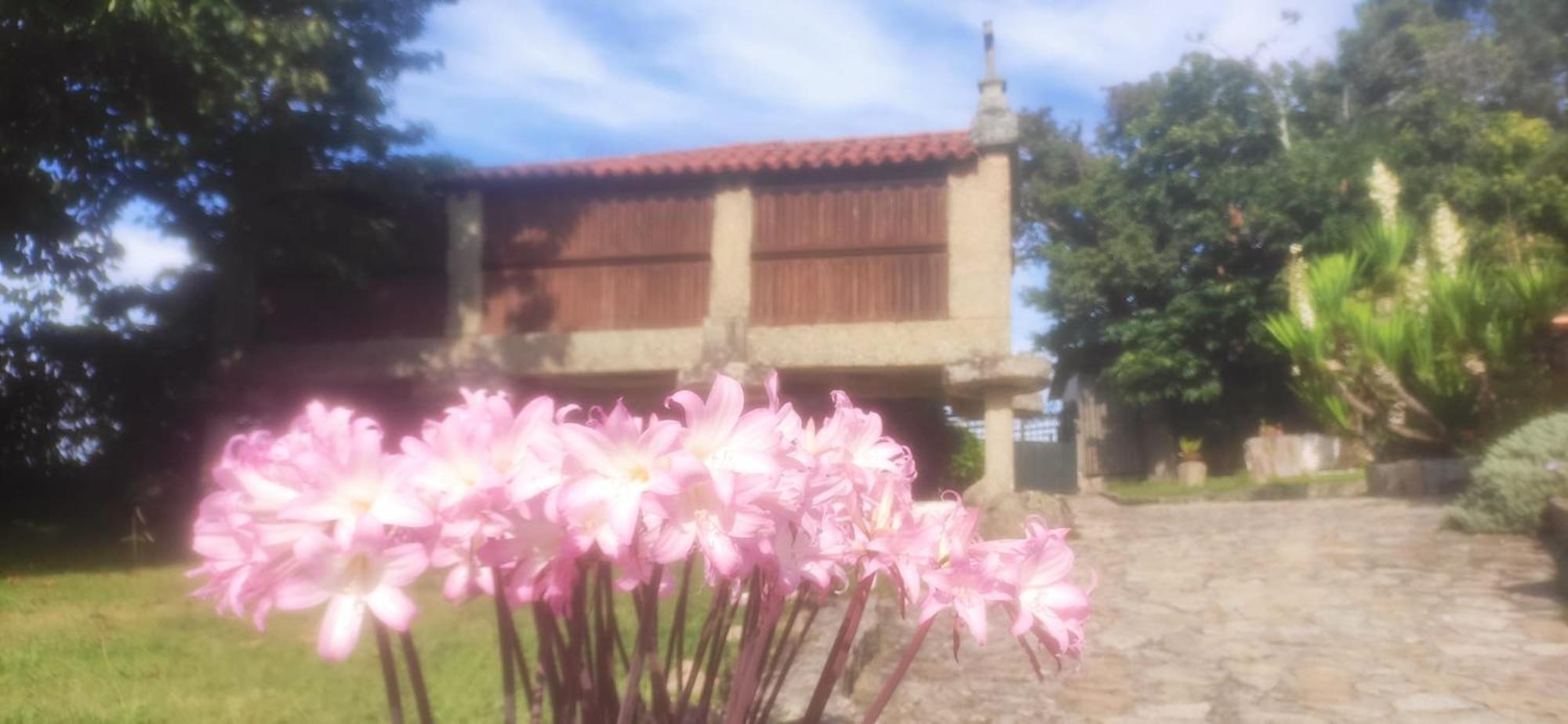 Casal De Folgueiras Rias Baixas Guest House Meis Ngoại thất bức ảnh